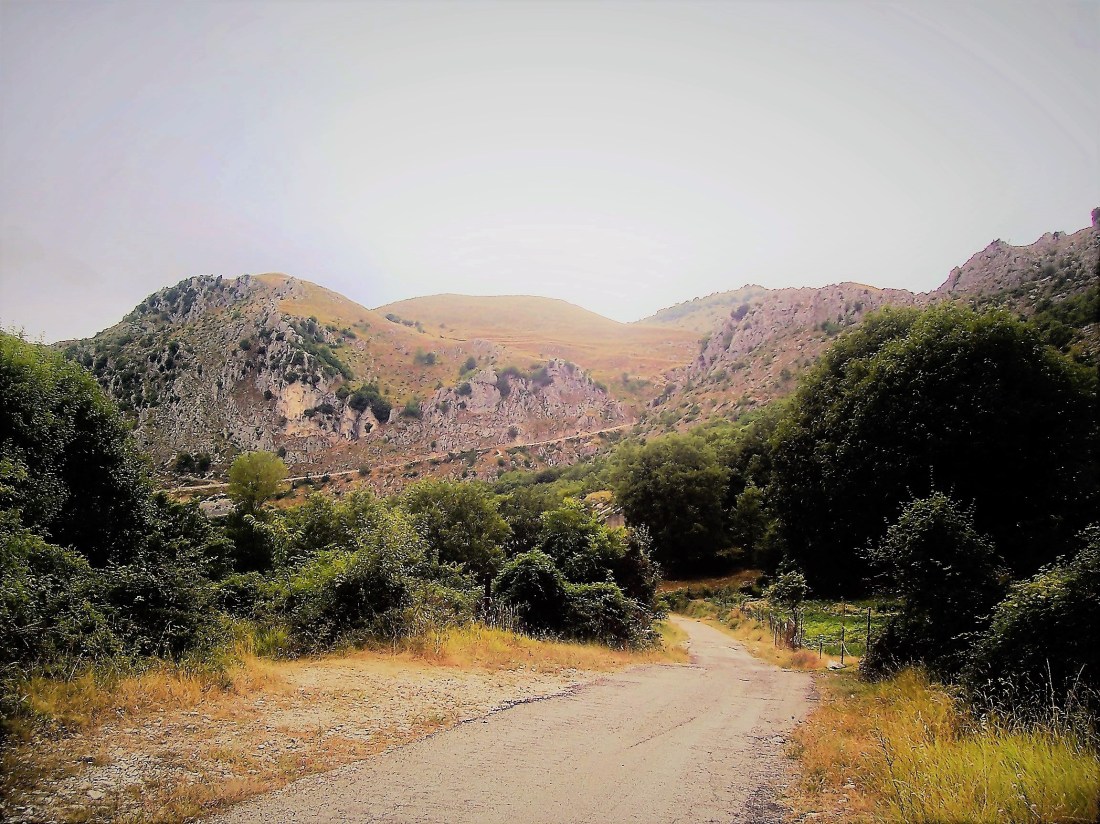 road to mountain pasture